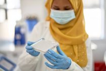 Female scientist in hijab and face mask with specimen tray — Stock Photo