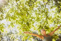 Exuberant senior woman with arms outstretched under sunny tree — Stock Photo