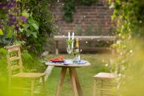 Шампанське і червона смородина на ідилічному садовому столі зі свічками — стокове фото