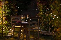 Шампанское и красная смородина на идиллическом столе в летнем саду на закате — стоковое фото