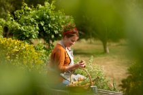 Жінка дивиться на свіжі зібрані овочі в сонячному літньому саду — стокове фото