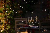 Flûtes à champagne et groseilles rouges sur la table dans un jardin d'été idyllique — Photo de stock