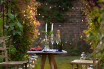 Шампанське і червона смородина на столі зі свічками в ідилічному саду — стокове фото