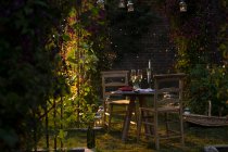 Champagne e ribes rosso su un idilliaco tavolo da giardino estivo — Foto stock