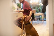 Собака наблюдает человек работает из дома на ноутбуке на кухне — стоковое фото