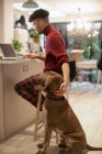 Молодой человек ласкает собаку, работая из дома за ноутбуком на кухне — стоковое фото