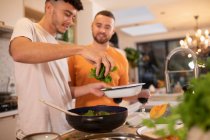 Gay macho pareja cocinar con fresco espinacas en cocina - foto de stock