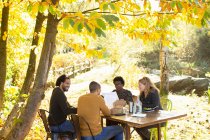 Творча команда бізнесу зустрічається за столом в сонячному ідилічному осінньому парку — стокове фото