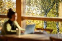 Woman working at laptop in cafe with autumn tree view — Stock Photo