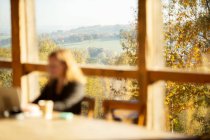 Женщина, работающая в кафе с солнечным живописным осенним видом — стоковое фото