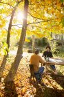 Бізнесмени зустрічаються за столом у сонячному осінньому парку — стокове фото