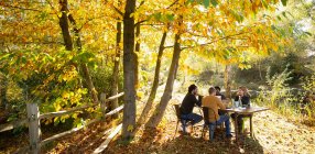 Negócios reunião à mesa no ensolarado parque de outono idílico — Fotografia de Stock