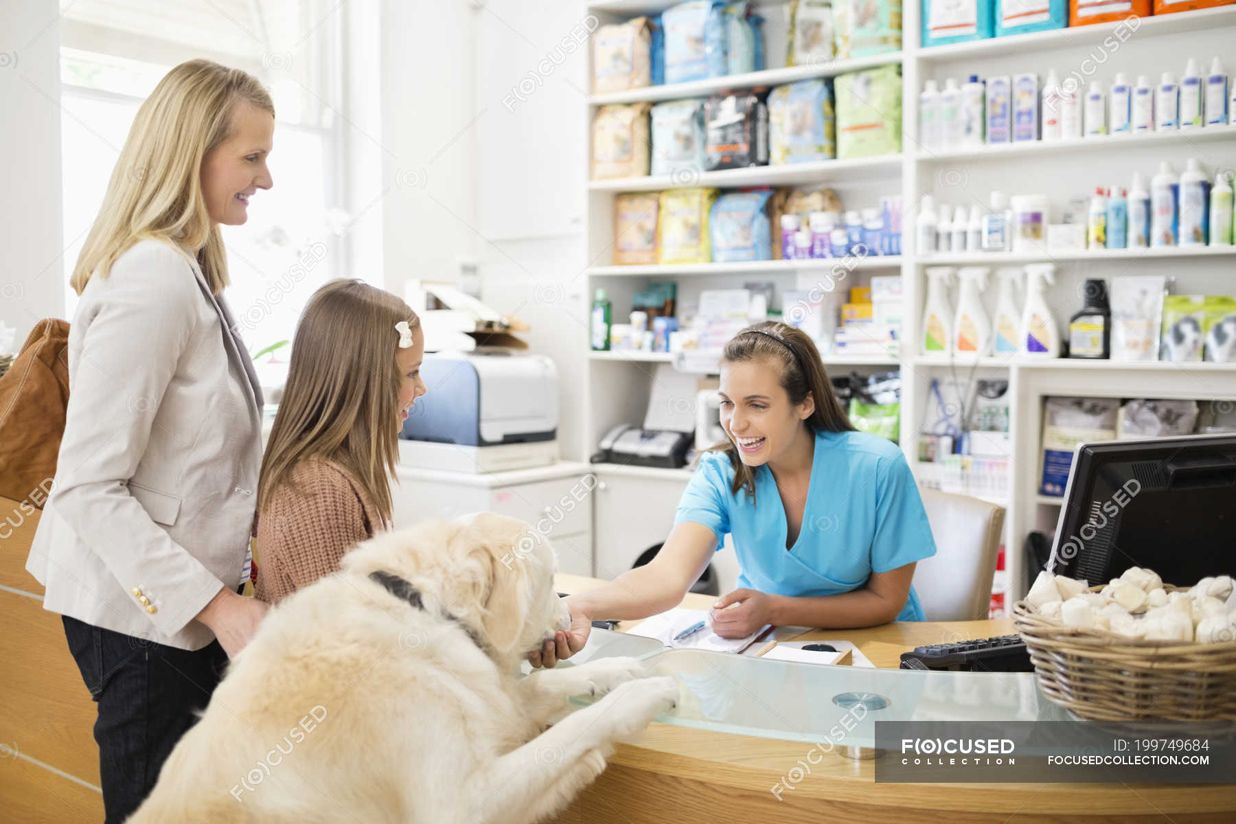 Receptionist Greeting Dog In Veterinary Surgery Counter Merchandise   Focused 199749684 Stock Photo Receptionist Greeting Dog Veterinary Surgery 