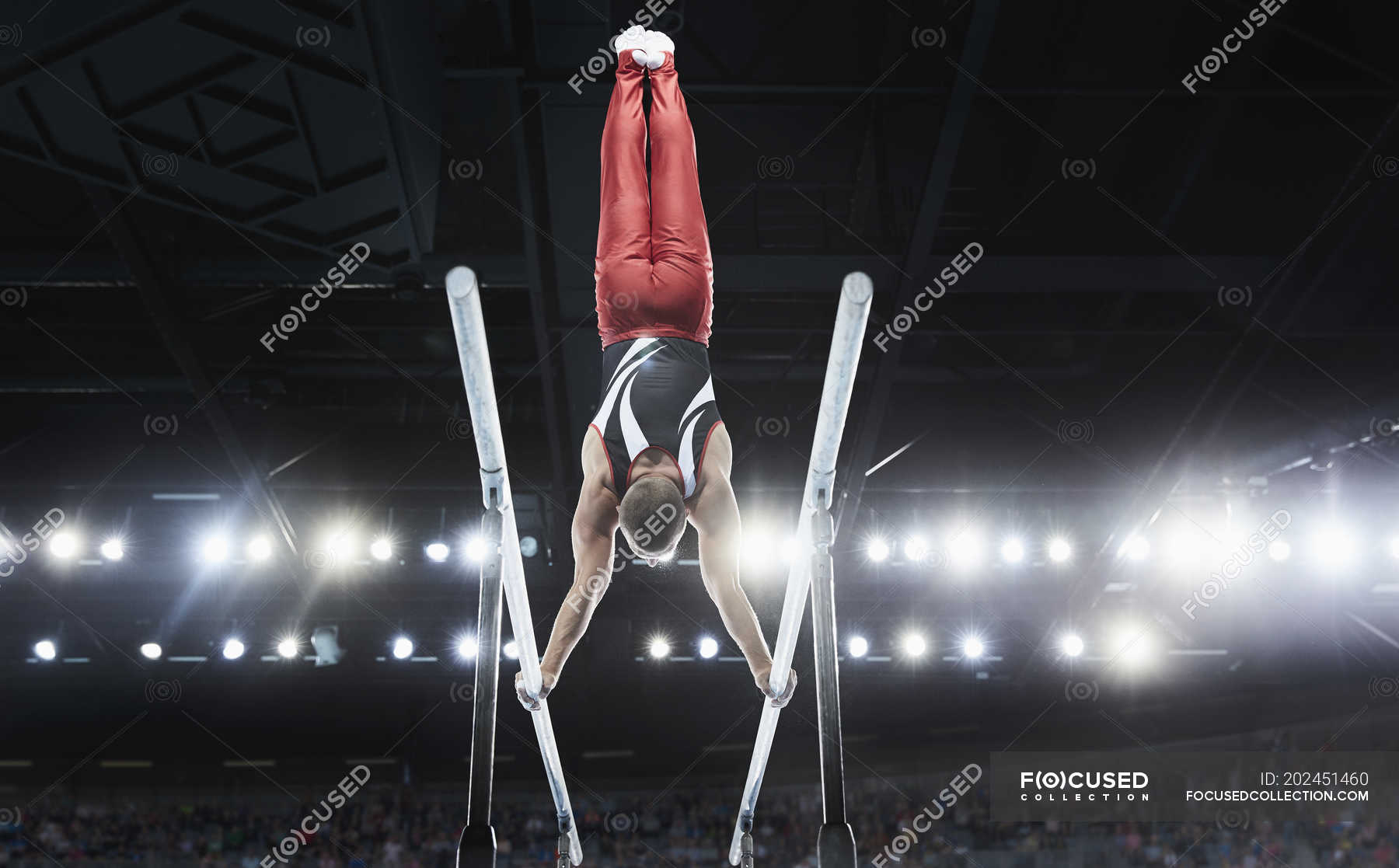 Male gymnast performing upsidedown handstand on parallel bars in arena — skill, Concentrating