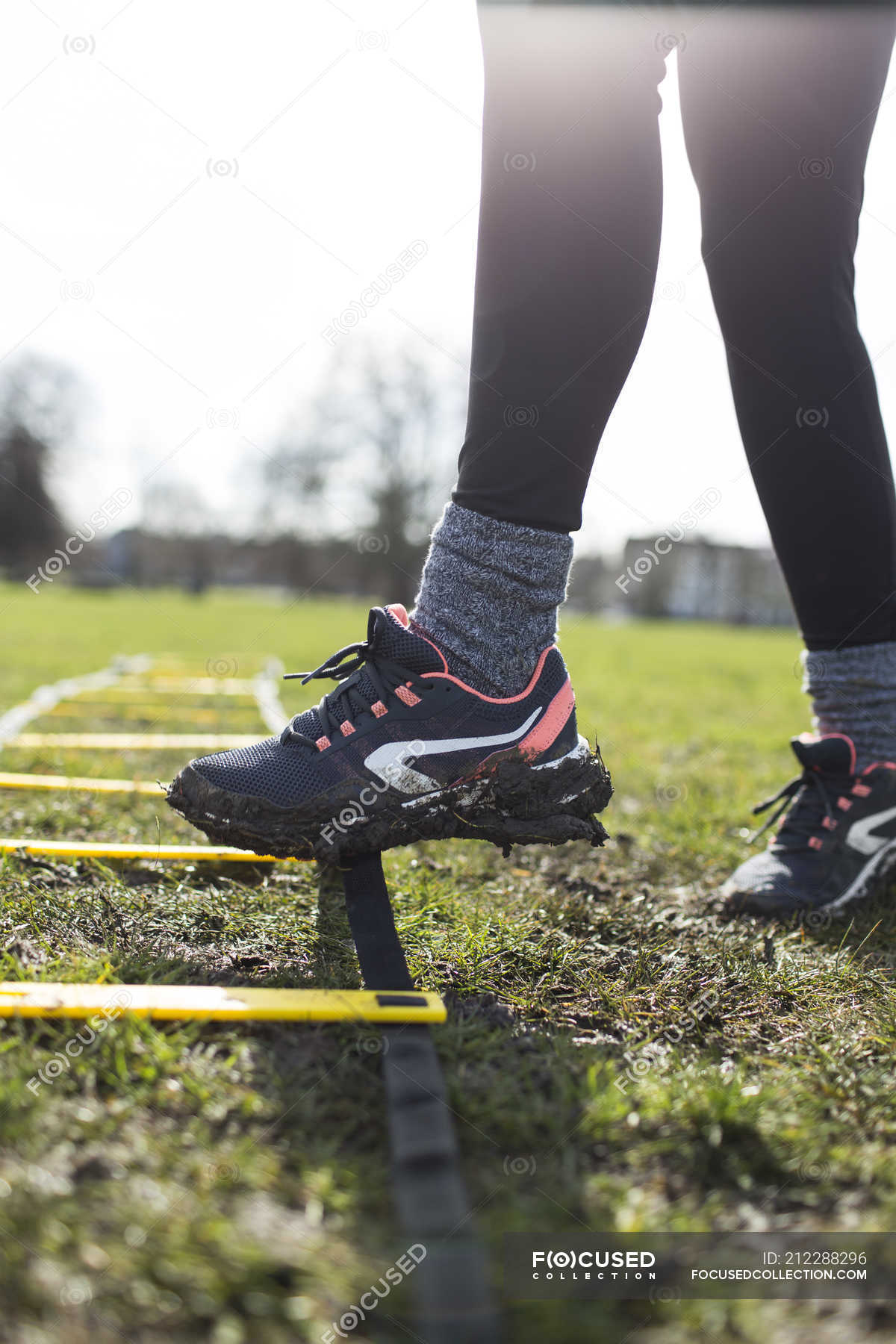 Cropped image of woman foot touching exercising ladder in park — health ...