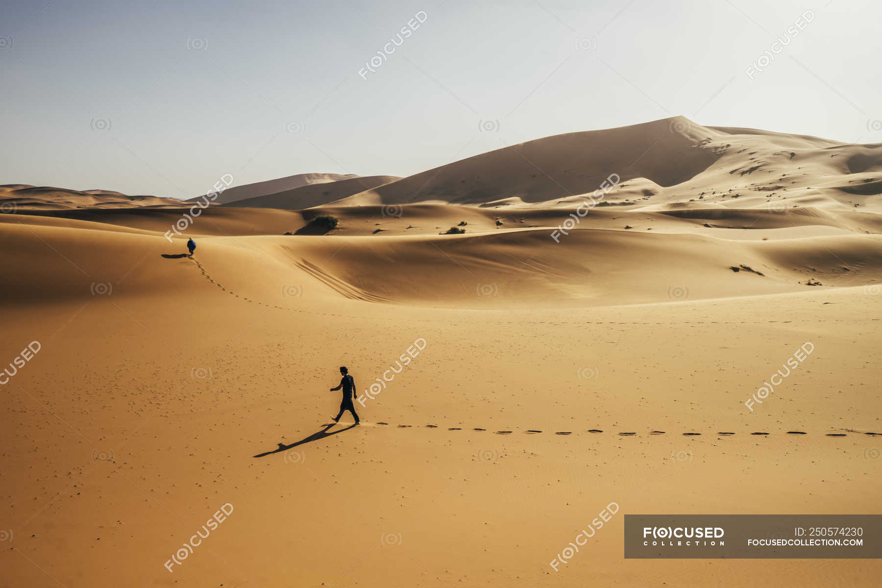 Homem caminhando em ensolarado, deserto arenoso, Saara, Marrocos ...