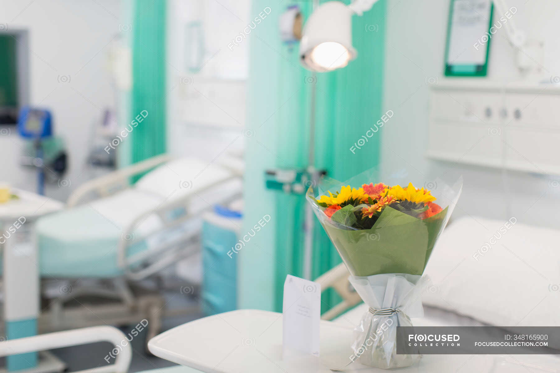 Фото цветов в больнице на тумбочке (88 фото)