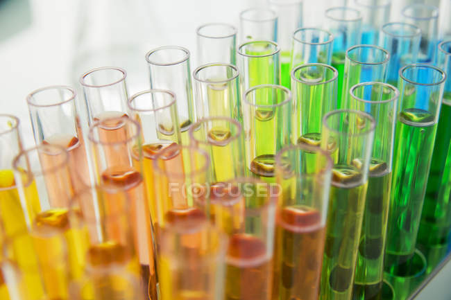 Close up de rack de tubos de ensaio com solução em laboratório — Fotografia de Stock