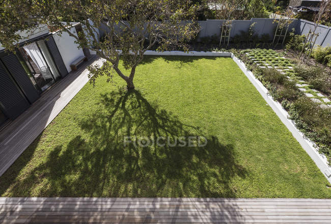Tree casting shadow in sunny luxury yard — Stock Photo