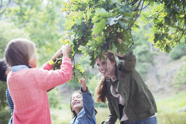 Students and teacher examining leaves outdoors — Stock Photo