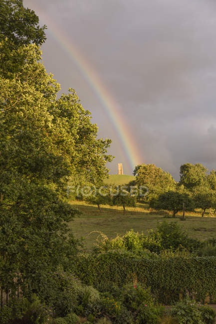 Arco-íris atrás de árvores verdes exuberantes no campo — Fotografia de Stock