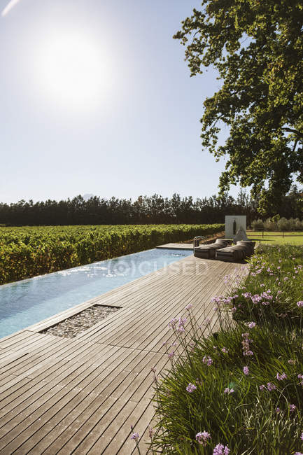 Luxury lap pool overlooking vineyard — Stock Photo