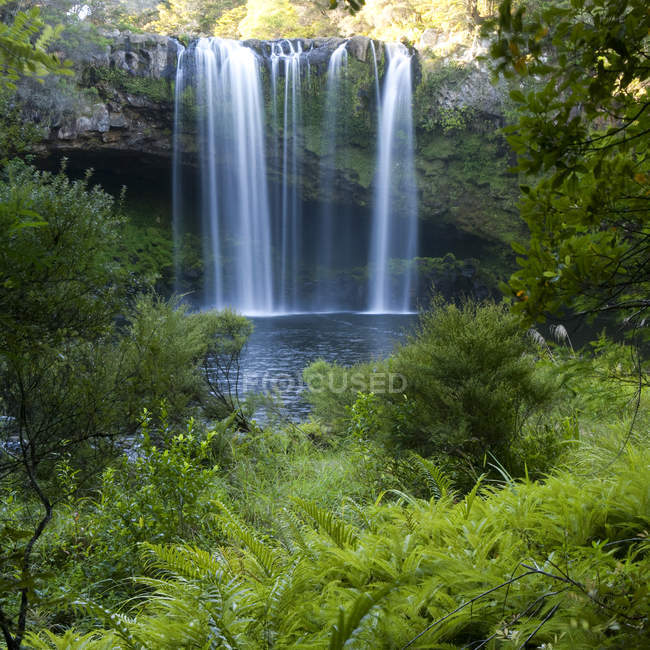 Tranquil waterfall and lush plants on shore against water and pond — Stock Photo