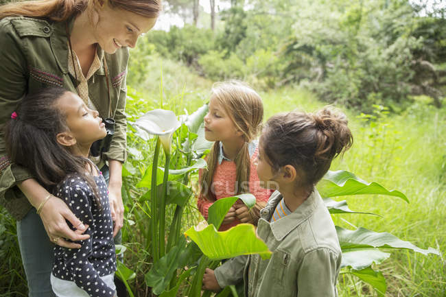 Students and teacher examining plants outdoors — Stock Photo
