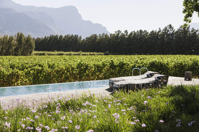 Стільці для відпочинку розкішним басейном серед саду та виноградників — стокове фото