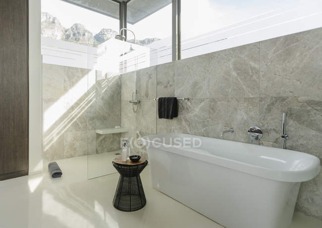 Пропитанная ванна в современной солнечной ванной комнате — стоковое фото
