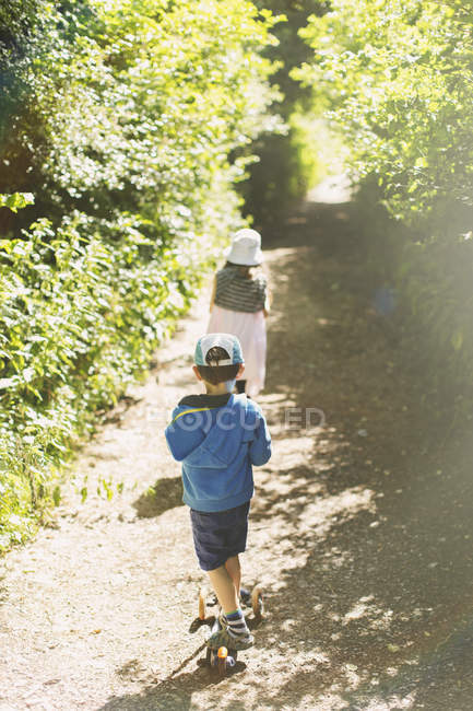 Мальчик и девочка идут по дорожке вдоль солнечного дерева в парке — стоковое фото