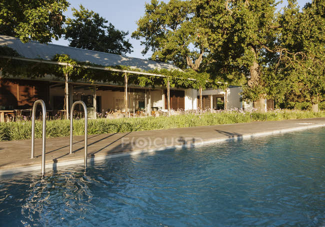 Плавательный бассейн у роскошного дома в окружении деревьев — стоковое фото