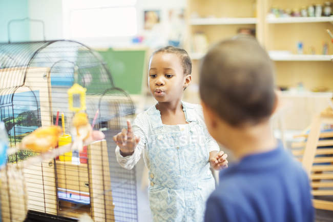 Students examining birdcage in classroom — Stock Photo