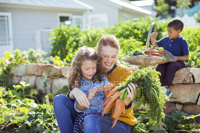Student and teacher picking carrots in field — Stock Photo