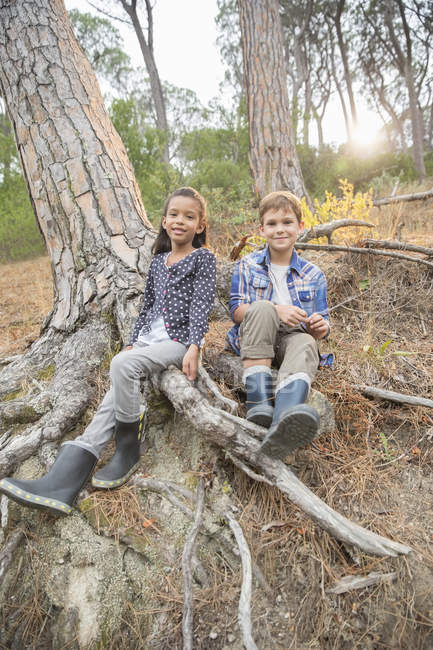 Діти сидять на корінні дерева в лісі — стокове фото
