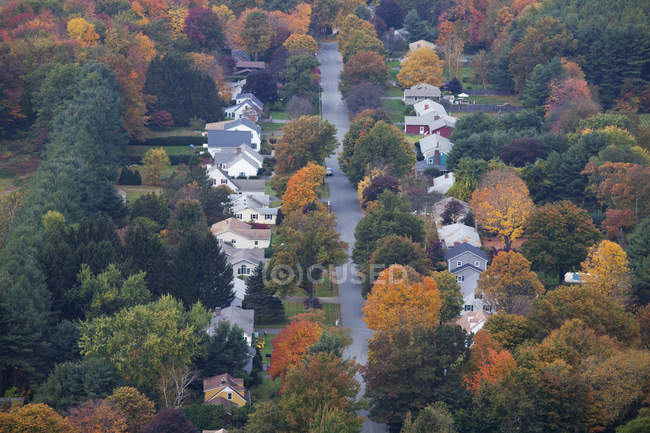 Осенние деревья в пригородном районе — стоковое фото