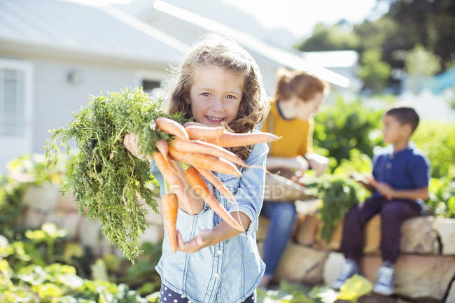 Menina segurando monte de cenouras no jardim — Fotografia de Stock