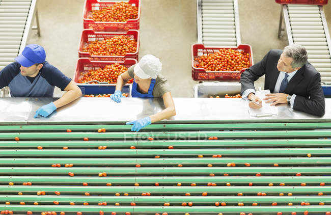 Trabajadores que procesan tomates en planta de procesamiento de alimentos - foto de stock