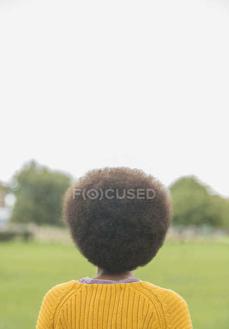 Задний вид женщины с афро стоящей в парке — стоковое фото
