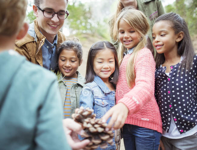 Students and teacher examining pine cone in forest — Stock Photo