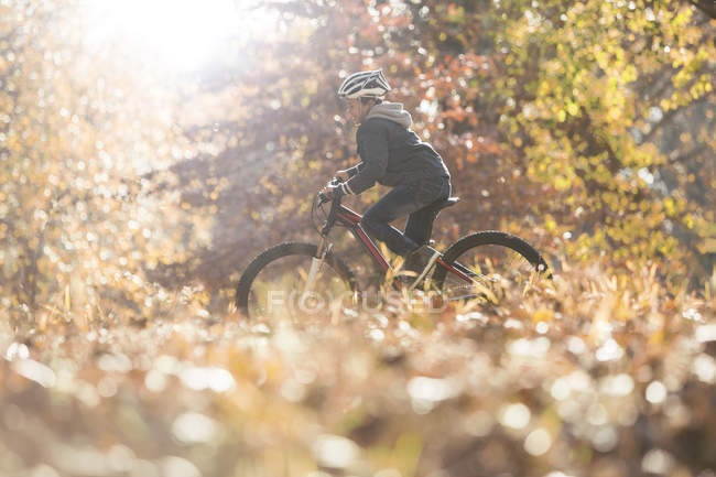 Мальчик катается на велосипеде в лесу с осенними листьями — стоковое фото