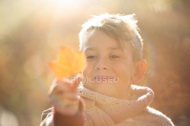 Close up smiling boy holding golden autumn leaf — Stock Photo