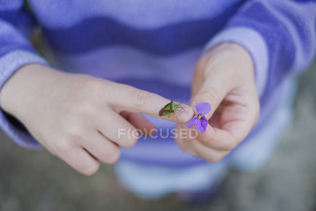 Close up girl with insect on hand holding purple flower — Stock Photo