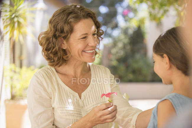 Счастливая современная бабушка предлагает внучке розовый цветок — стоковое фото