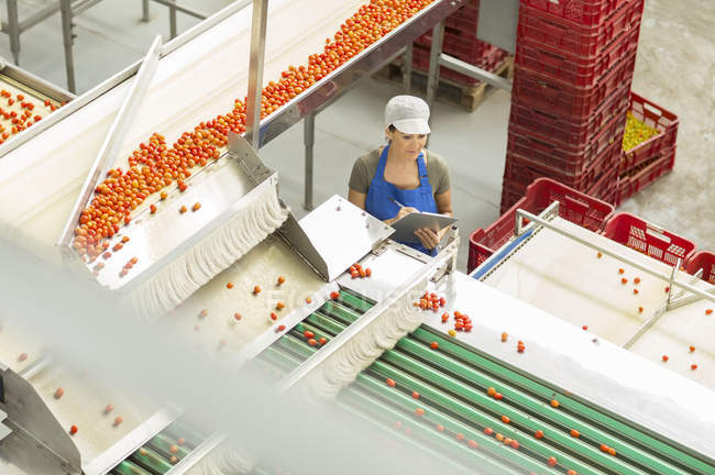 Trabajador con portapapeles examinando tomates en planta de procesamiento de alimentos - foto de stock