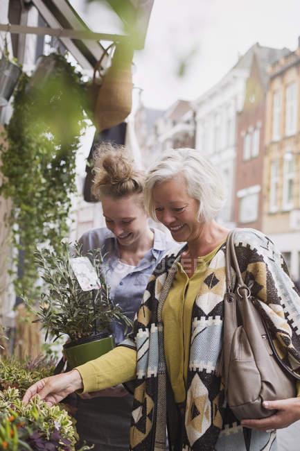 Floristería femenina ayudando a la mujer a comprar plantas en maceta en escaparate - foto de stock
