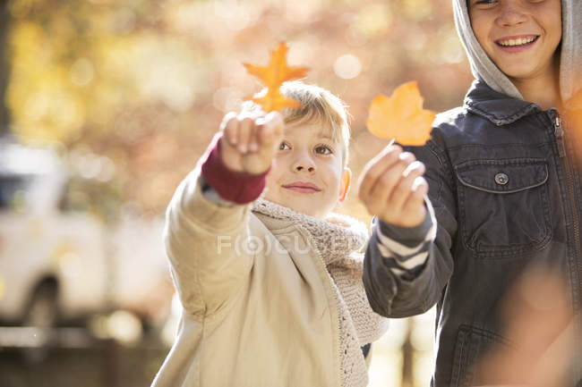 Boys holding golden autumn leaves — Stock Photo