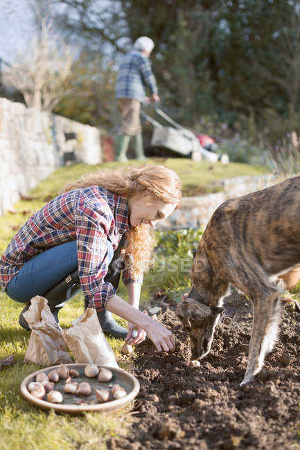 Mujer con jardinería de perros plantando bulbos en la suciedad en el jardín de otoño - foto de stock