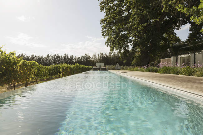 Роскошный круговой бассейн среди виноградников — стоковое фото
