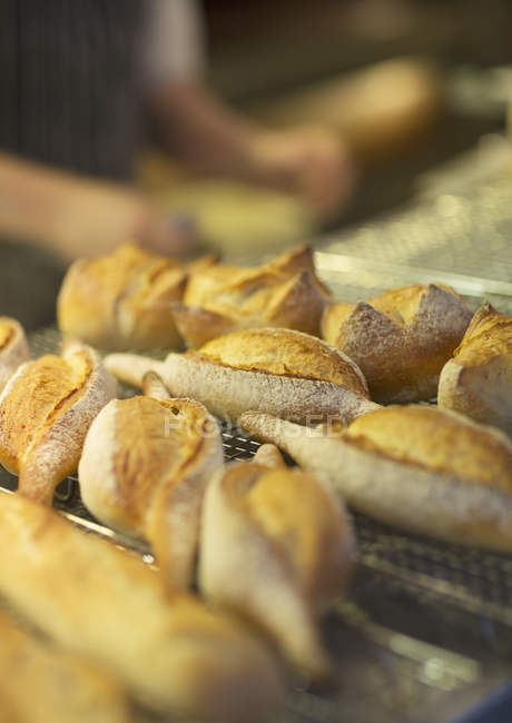Primer plano de pan fresco en panadería - foto de stock